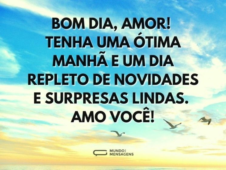Bom dia, amor! Tenha uma ótima manhã e um dia repleto de novidades e surpresas lindas. Amo você!