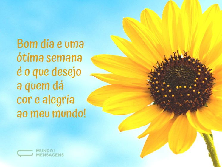 X 上的 Misticos Online：「Bom Dia!!! Com Amor e Alegria