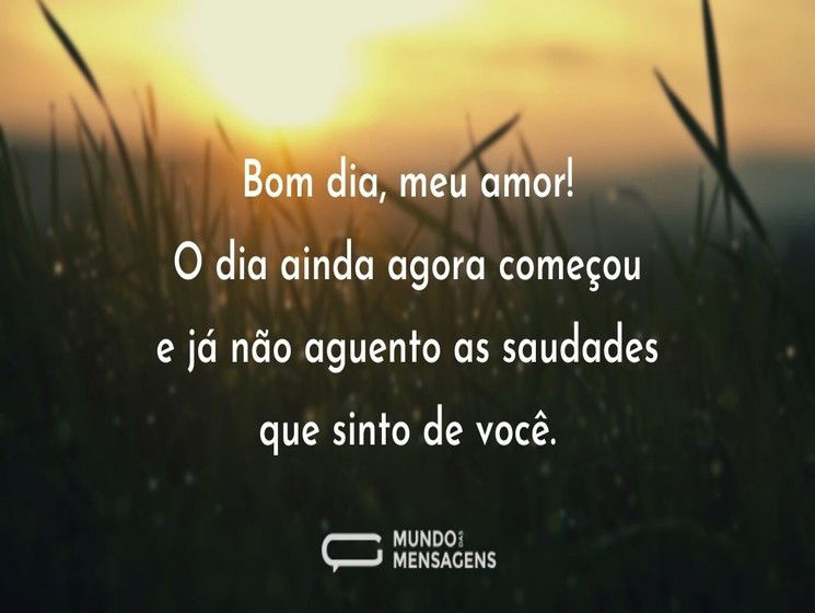 Bom dia, meu amor! O dia ainda agora começou e já não aguento as saudades que sinto de você.