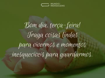 Coisas lindas para esta terça-feira