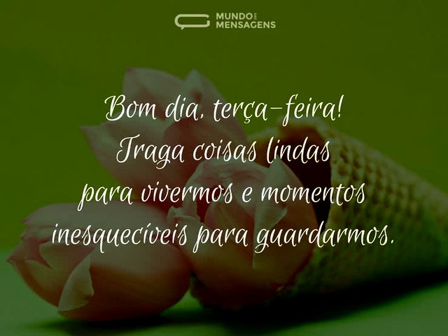 Coisas lindas para esta terça-feira