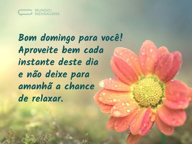 Bom domingo para você! Aproveite bem cada instante deste dia e não deixe para amanhã a oportunidade de relaxar.