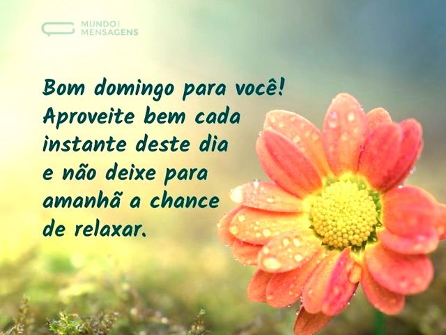 Bom domingo para você! Aproveite bem cad...