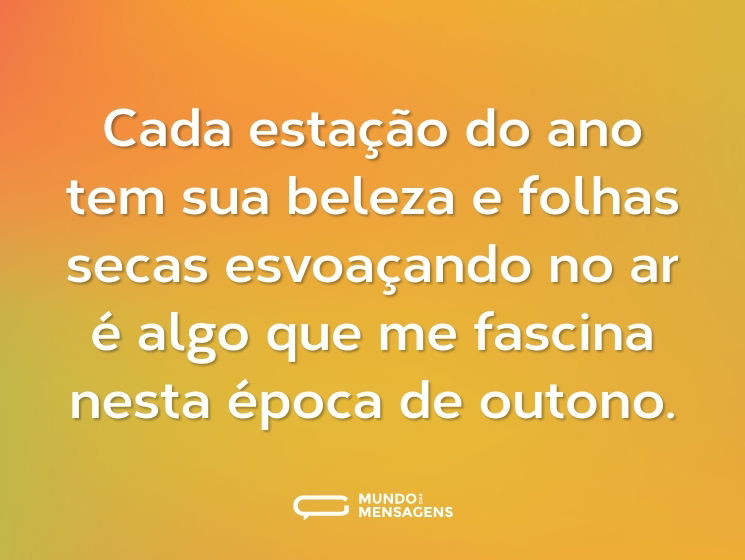 Cada estação do ano tem sua beleza e folhas secas esvoaçando no ar é algo que me fascina nesta época de outono.