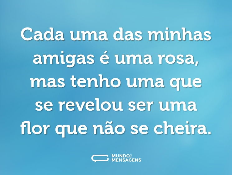 Cada uma das minhas amigas é uma rosa, mas tenho uma que se revelou ser uma flor que não se cheira.
