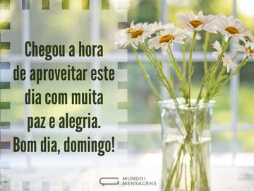 Um domingo para aproveitar