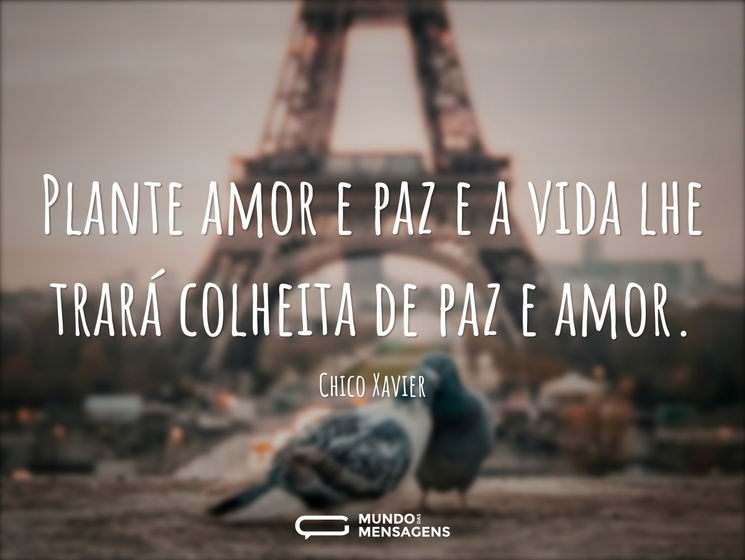 Plante amor e paz e a vida lhe trará col...