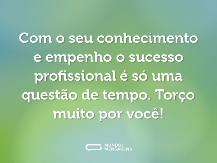 Com o seu conhecimento e empenho o sucesso profissional é só uma questão de tempo. Torço muito por você!