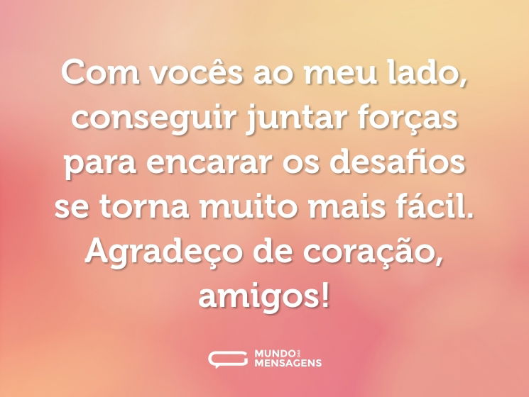 Com vocês ao meu lado, conseguir juntar forças para encarar os desafios se torna muito mais fácil. Agradeço de coração, amigos!