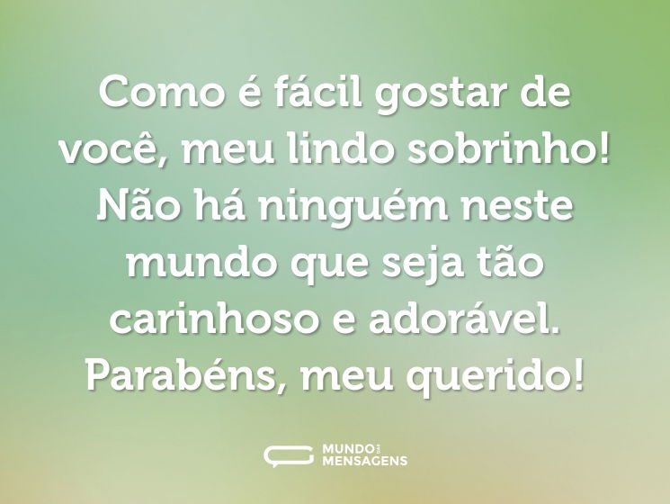 Como é fácil gostar de você, meu lindo sobrinho! Não há ninguém neste mundo que seja tão carinhoso e adorável. Parabéns, meu querido!