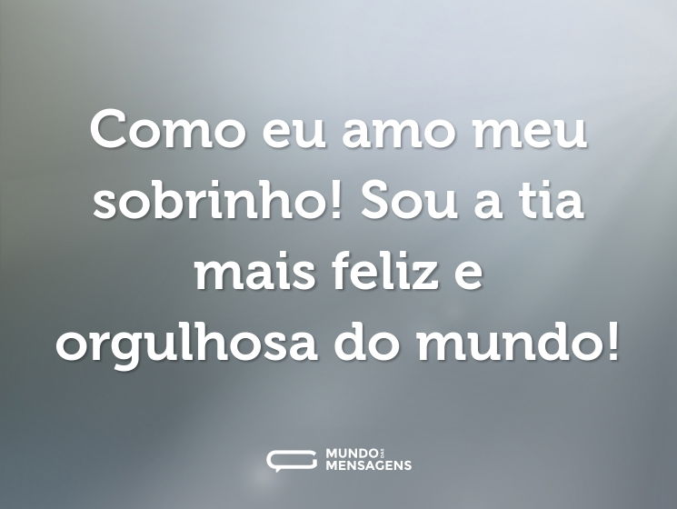 Como eu amo meu sobrinho! Sou a tia mais feliz e orgulhosa do mundo!