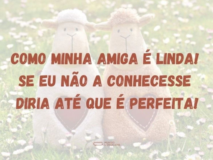 Uma amiga quase perfeita