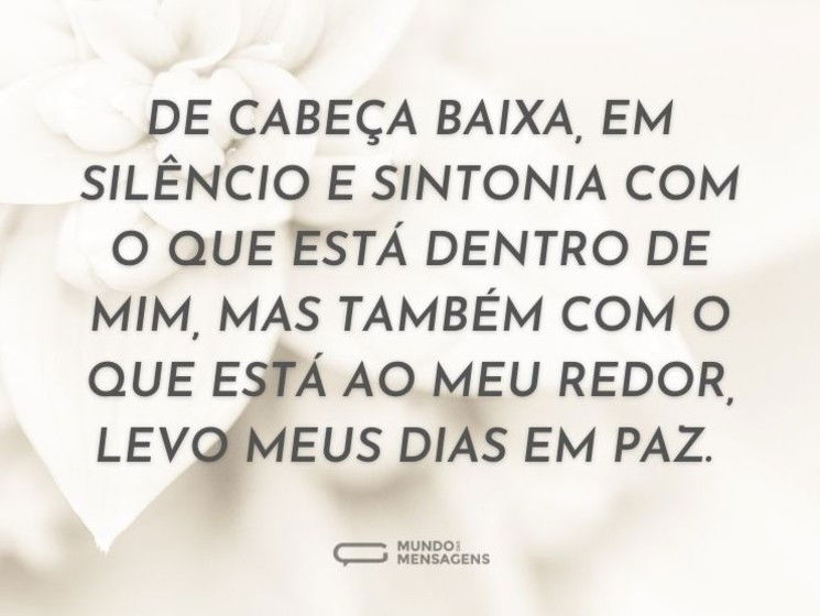 Silêncio e sintonia para encontrar minha paz