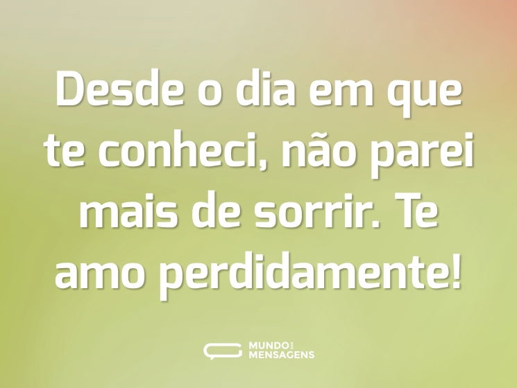 Desde o dia em que te conheci, não parei mais de sorrir. Te amo perdidamente!