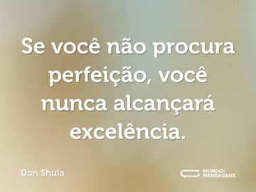 Se você não procura perfeição, você nunca alcançará excelência.