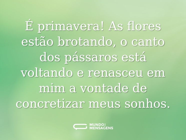 É primavera! As flores estão brotando, o canto dos pássaros está voltando e renasceu em mim a vontade de concretizar meus sonhos.