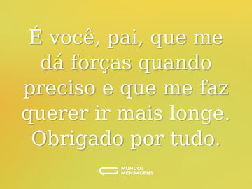 É você, pai, que me dá forças quando preciso e que me faz querer ir mais longe. Obrigado por tudo.