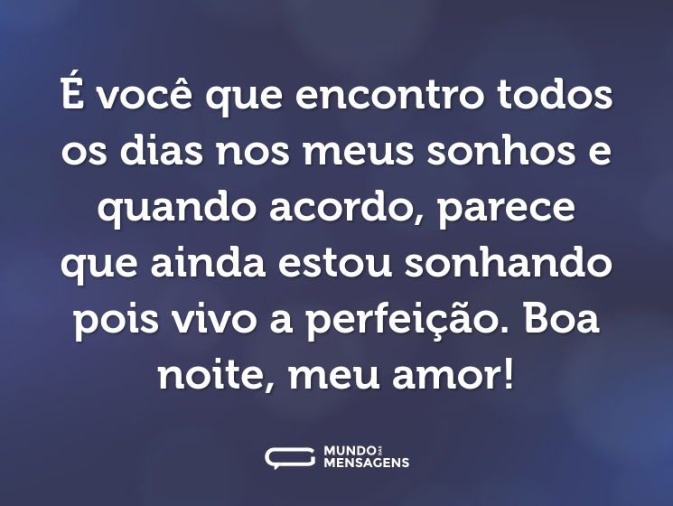 É você que encontro todos os dias nos meus sonhos e quando acordo, parece que ainda estou sonhando pois vivo a perfeição. Boa noite, meu amor!