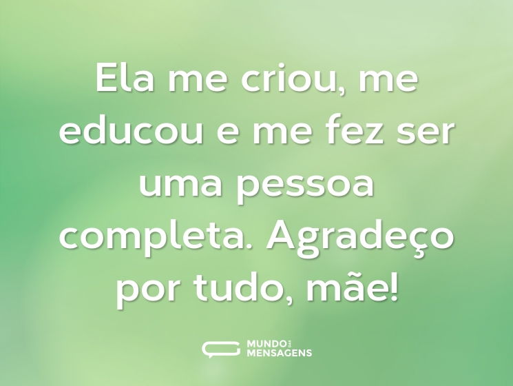 Ela me criou, me educou e me fez ser uma pessoa completa. Agradeço por tudo, mãe!