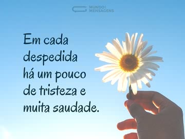 Muita saudade