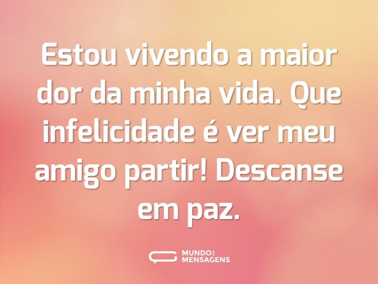 Estou vivendo a maior dor da minha vida. Que infelicidade é ver meu amigo partir! Descanse em paz.