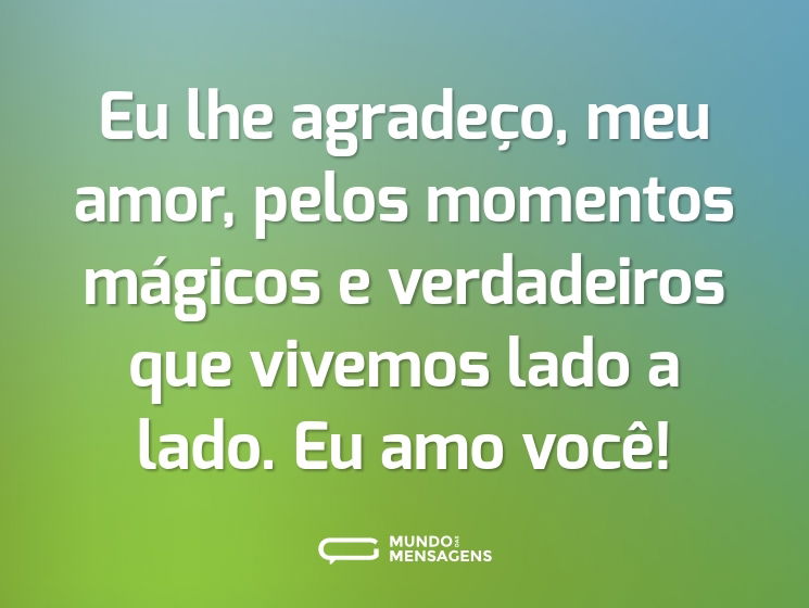 Eu lhe agradeço, meu amor, pelos momentos mágicos e verdadeiros que vivemos lado a lado. Eu amo você!