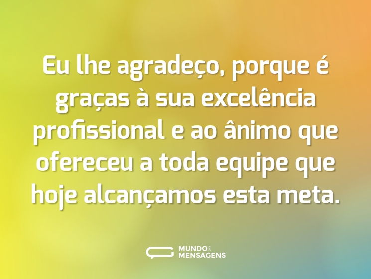 Eu lhe agradeço, porque é graças à sua excelência profissional e ao ânimo que ofereceu a toda equipe que hoje alcançamos esta meta.