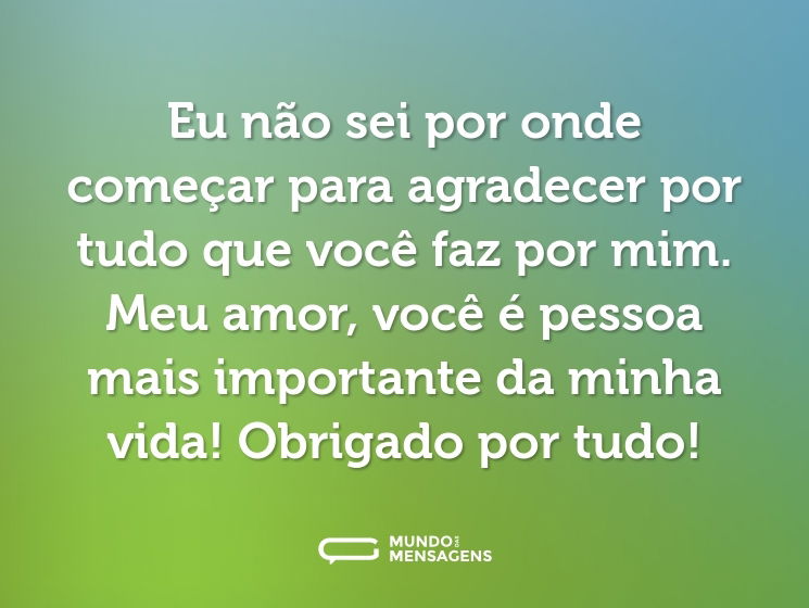 Eu não sei por onde começar para agradecer por tudo que você faz por mim. Meu amor, você é pessoa mais importante da minha vida! Obrigado por tudo!