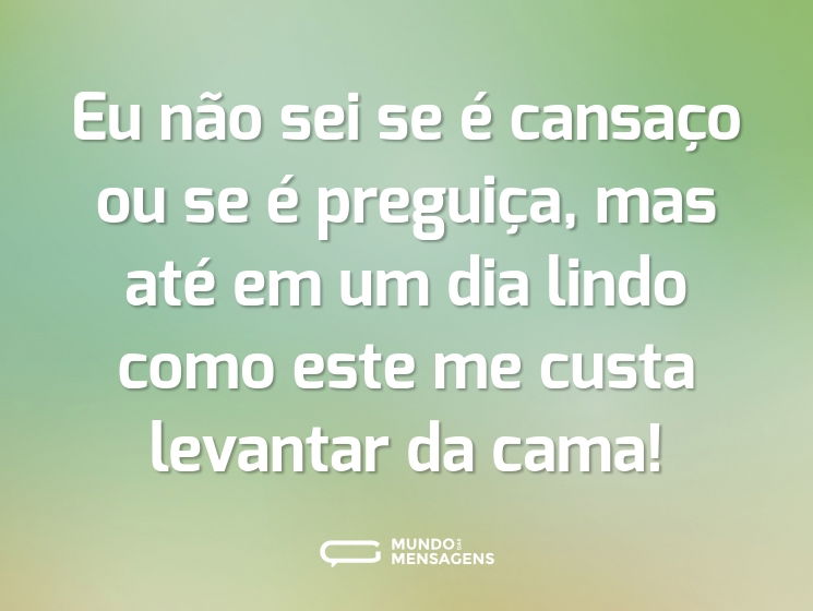 Eu não sei se é cansaço ou se é preguiça, mas até em um dia lindo como este me custa levantar da cama!