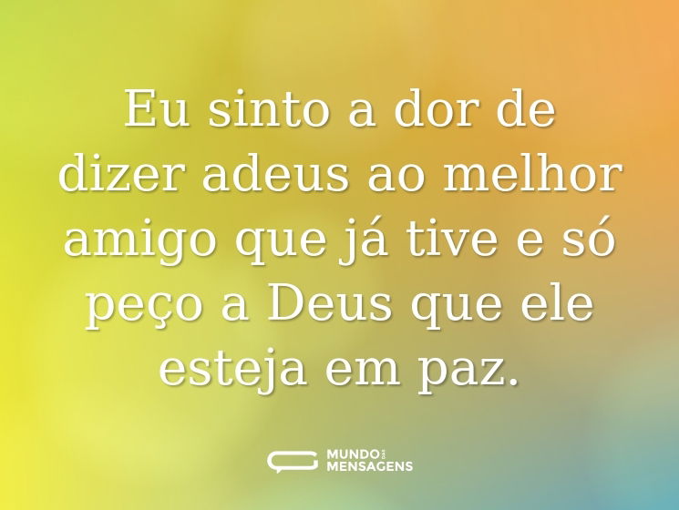 Eu sinto a dor de dizer adeus ao melhor amigo que já tive e só peço a Deus que ele esteja em paz.