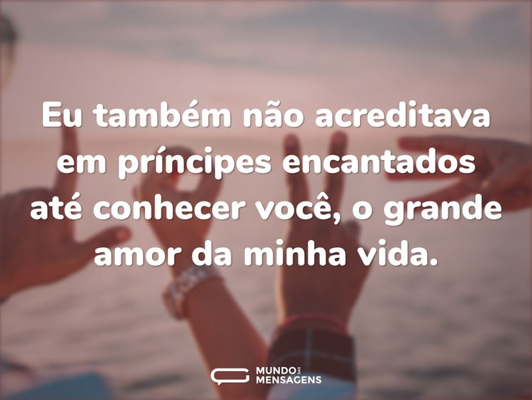 Eu também não acreditava em príncipes encantados até conhecer você, o grande amor da minha vida.