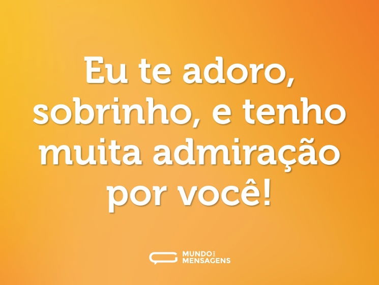 Eu te adoro, sobrinho, e tenho muita admiração por você!