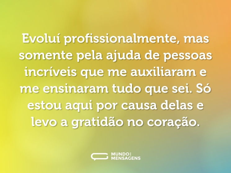Evoluí profissionalmente, mas somente pela ajuda de pessoas incríveis que me auxiliaram e me ensinaram tudo que sei. Só estou aqui por causa delas e levo a gratidão no coração.