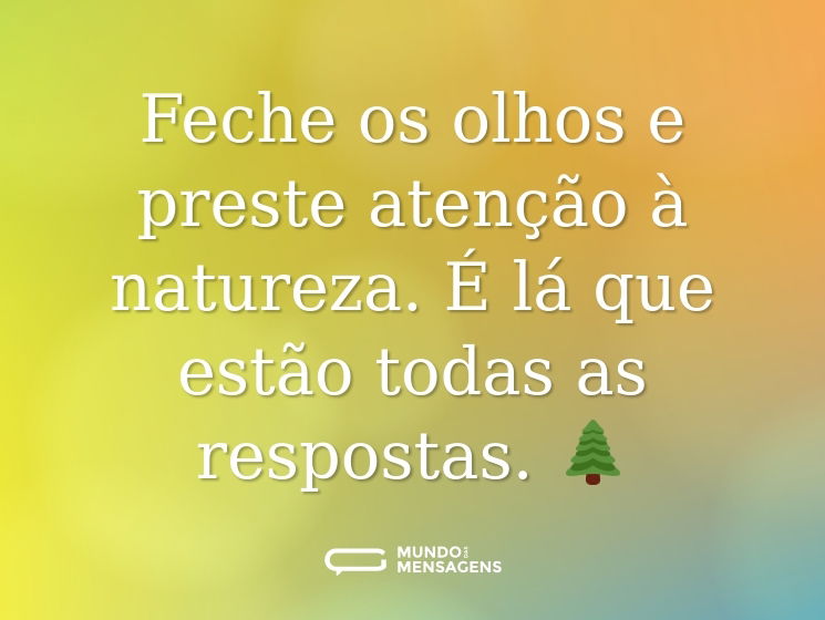 Feche os olhos e preste atenção à natureza. É lá que estão todas as respostas. 🌲