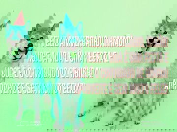 Muita festa para o irmão aniversariante