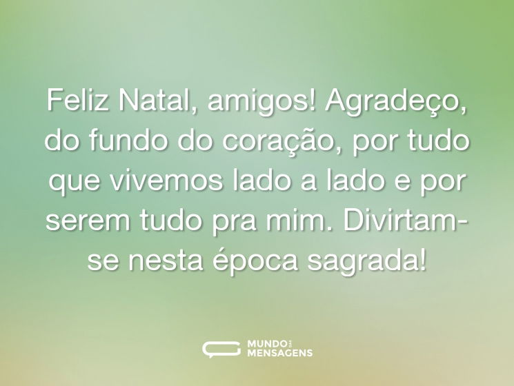 Feliz Natal, amigos! Agradeço, do fundo do coração, por tudo que vivemos lado a lado e por serem tudo pra mim. Divirtam-se nesta época sagrada!