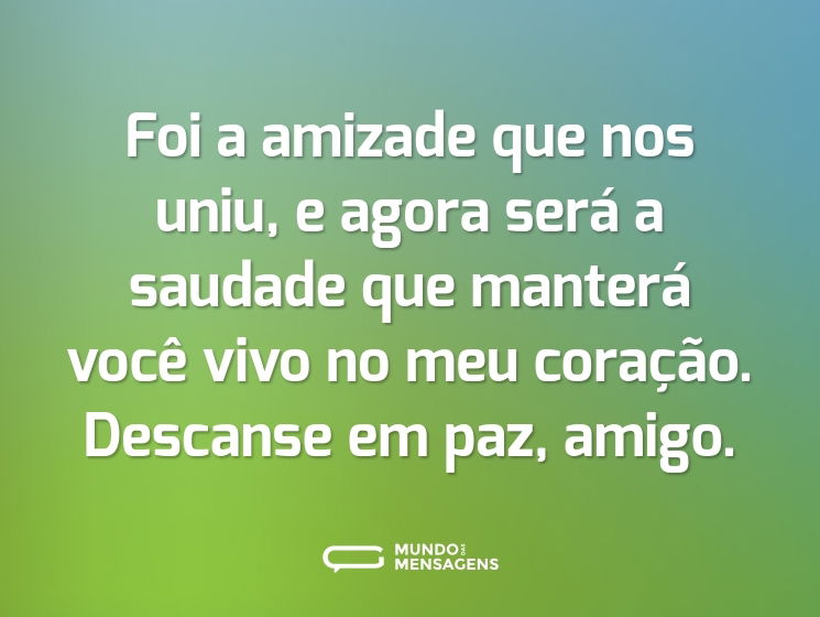 Foi a amizade que nos uniu, e agora será a saudade que manterá você vivo no meu coração. Descanse em paz, amigo.