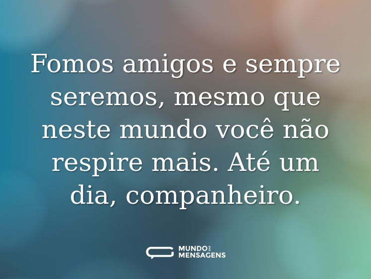 Fomos amigos e sempre seremos, mesmo que neste mundo você não respire mais. Até um dia, companheiro.