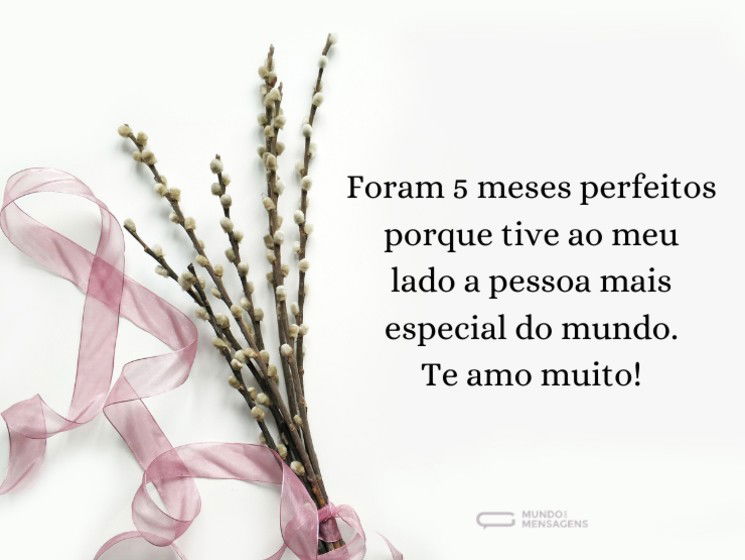 5 meses perfeitos ao seu lado