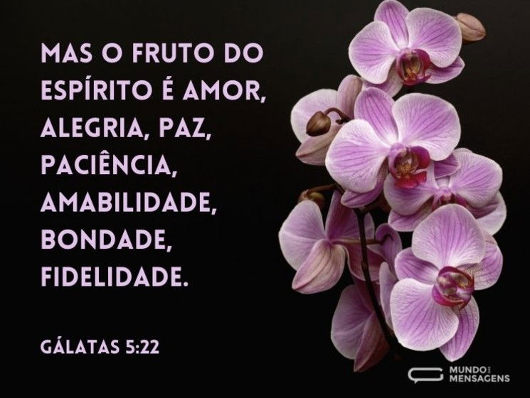 Mas o fruto do Espírito é amor, alegria, paz, paciência, amabilidade, bondade, fidelidade,