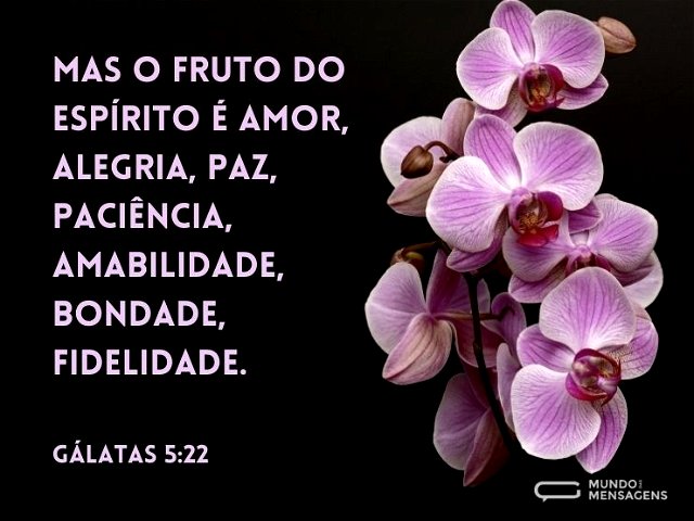 Mas o fruto do Espírito é amor, alegria...
