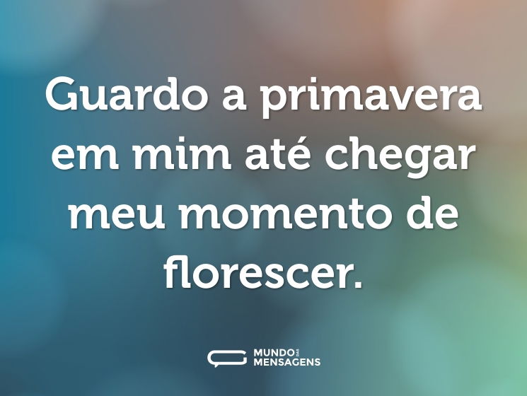 Guardo a primavera em mim até chegar meu momento de florescer.