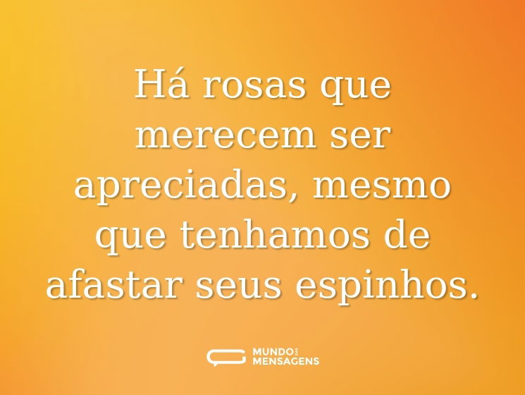 Há rosas que merecem ser apreciadas, mesmo que tenhamos de afastar seus espinhos.