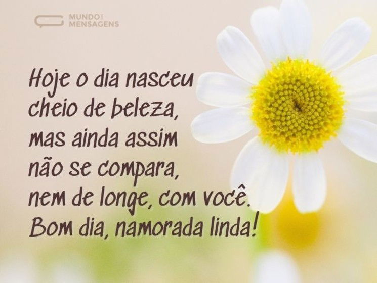Hoje o dia nasceu cheio de beleza, mas ainda assim não se compara, nem de longe, com você. Bom dia, namorada linda!