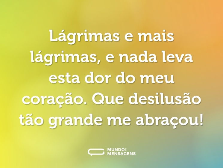 Lágrimas e mais lágrimas, e nada leva esta dor do meu coração. Que desilusão tão grande me abraçou!