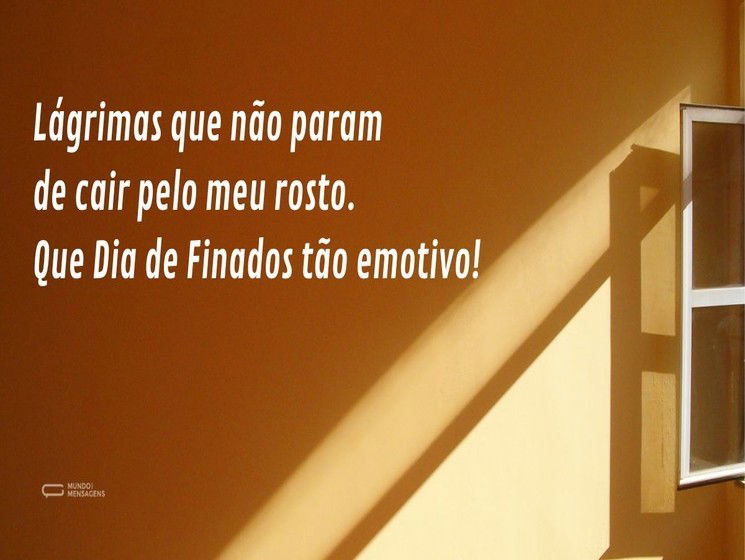 Lágrimas que não param de cair pelo meu rosto. Que Dia de Finados tão emotivo!