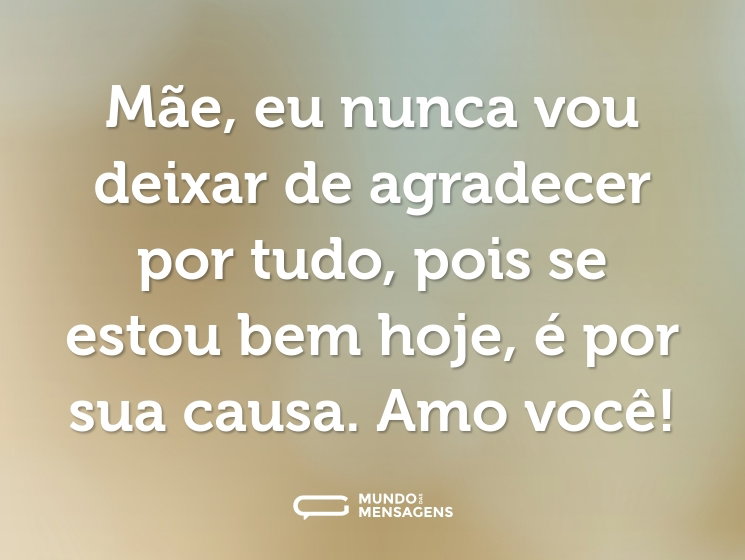 Mãe, eu nunca vou deixar de agradecer por tudo, pois se estou bem hoje, é por sua causa. Amo você!