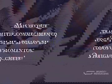 O apoio e ajuda do meu chefe