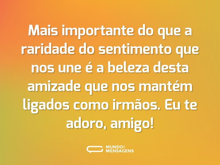 Mais importante do que a raridade do sentimento que nos une é a beleza desta amizade que nos mantém ligados como irmãos. Eu te adoro, amigo!