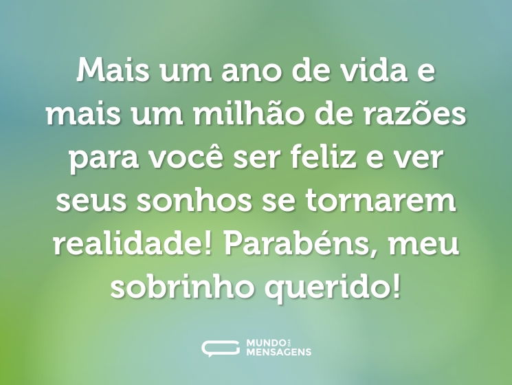 Mais um ano de vida e mais um milhão de razões para você ser feliz e ver seus sonhos se tornarem realidade! Parabéns, meu sobrinho querido!